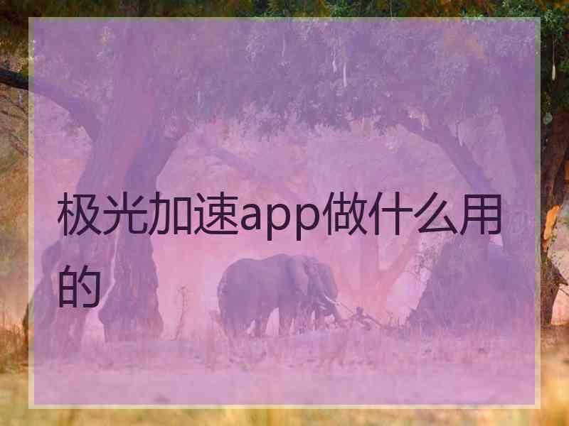 极光加速app做什么用的