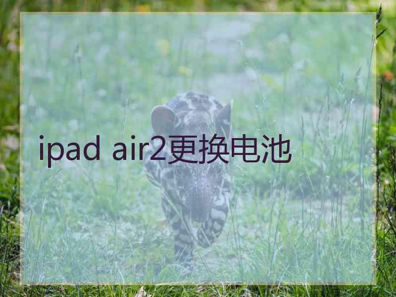 ipad air2更换电池