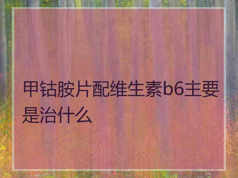 甲钴胺片配维生素b6主要是治什么