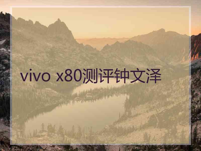 vivo x80测评钟文泽