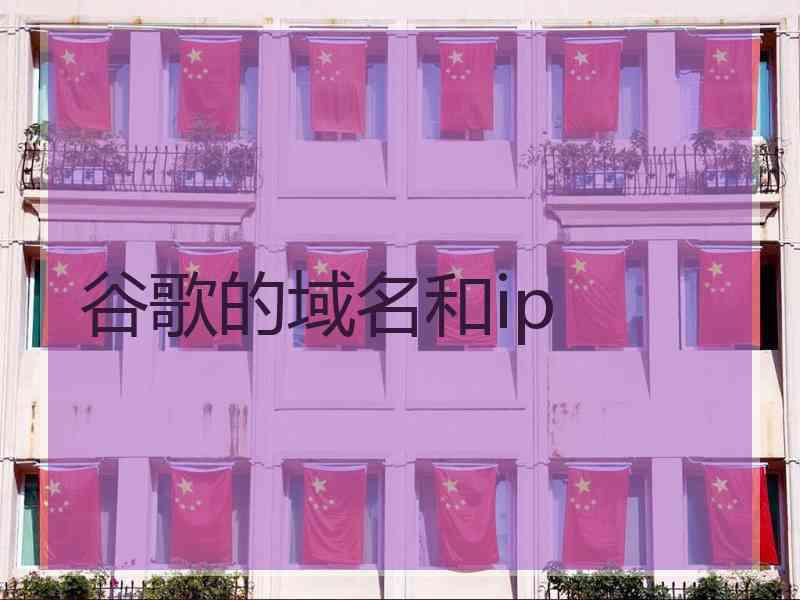 谷歌的域名和ip