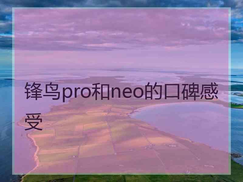 锋鸟pro和neo的口碑感受