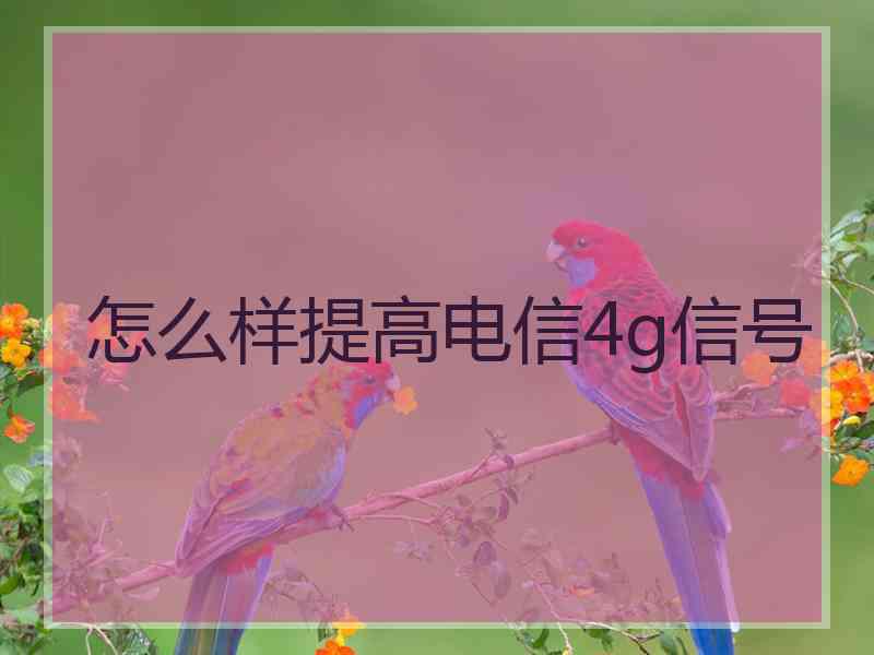 怎么样提高电信4g信号