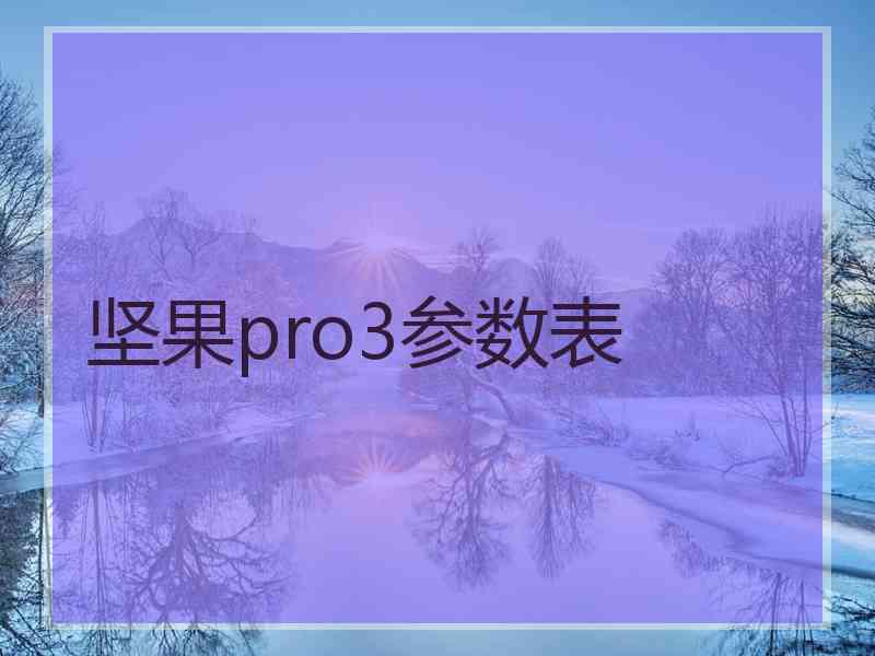 坚果pro3参数表