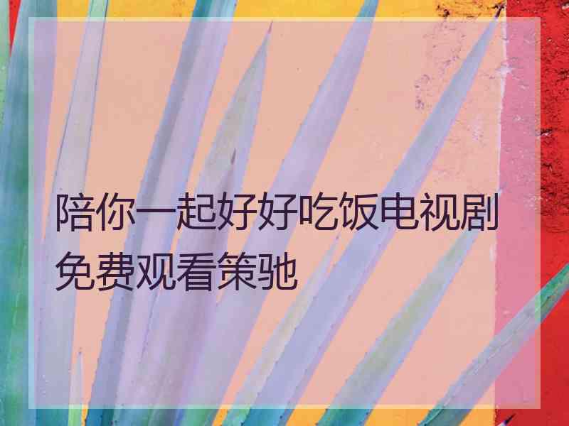 陪你一起好好吃饭电视剧免费观看策驰