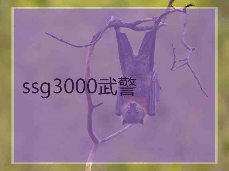 ssg3000武警