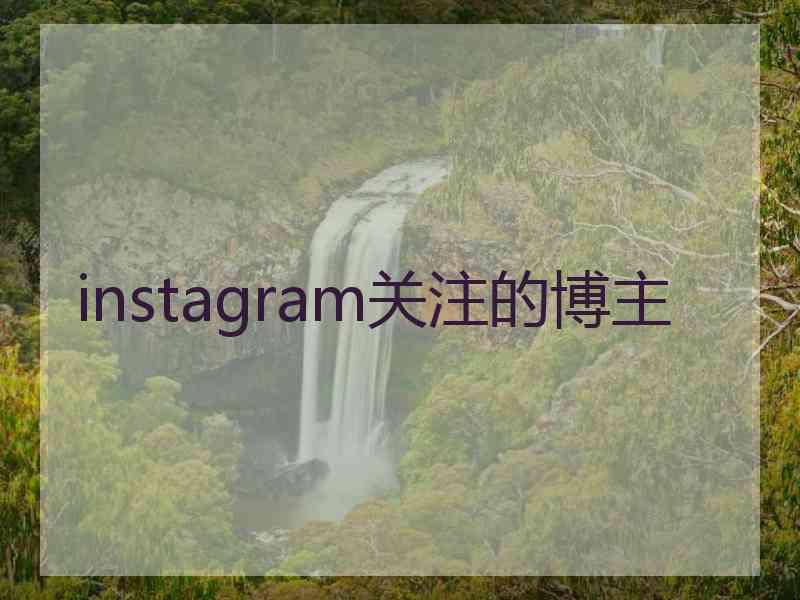 instagram关注的博主