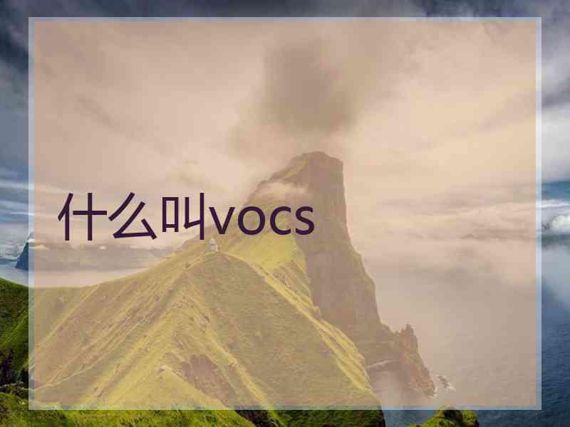 什么叫vocs