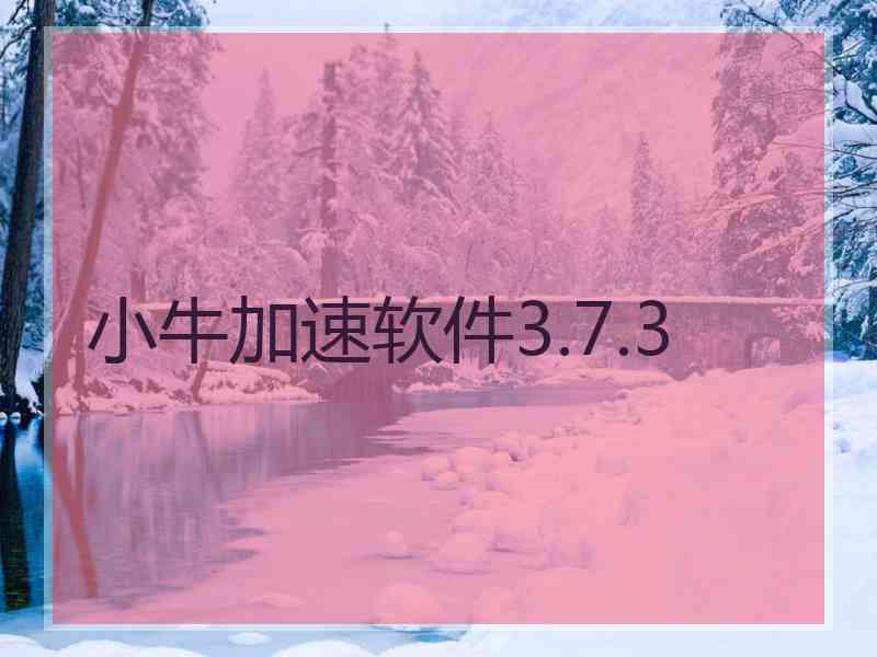 小牛加速软件3.7.3