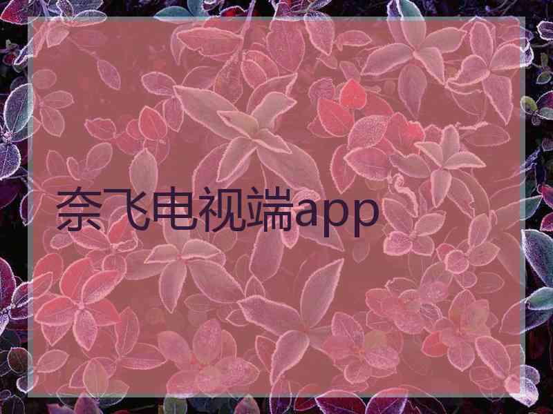 奈飞电视端app