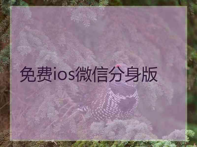 免费ios微信分身版