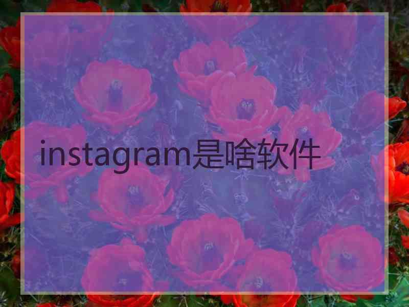 instagram是啥软件