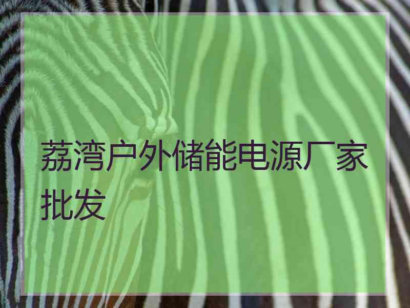 荔湾户外储能电源厂家批发