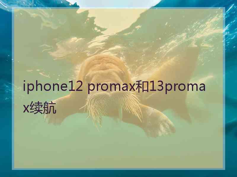 iphone12 promax和13promax续航