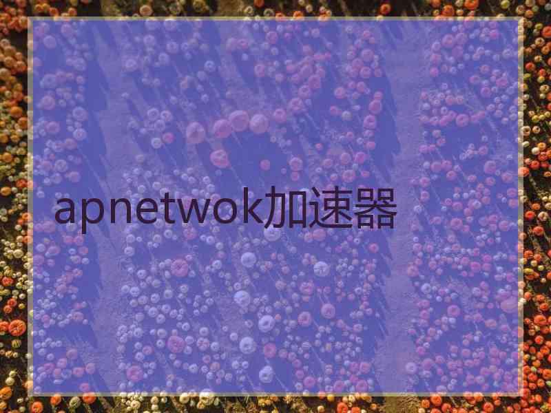 apnetwok加速器