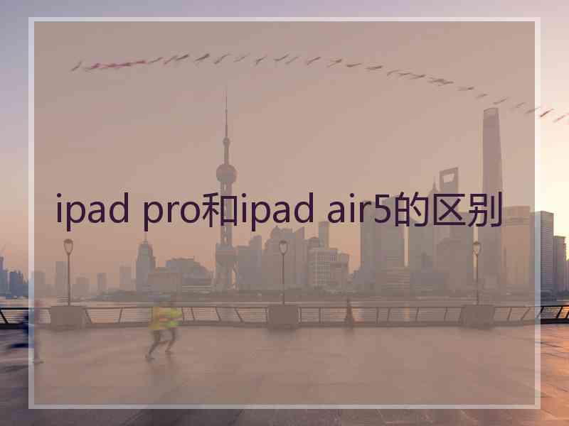 ipad pro和ipad air5的区别