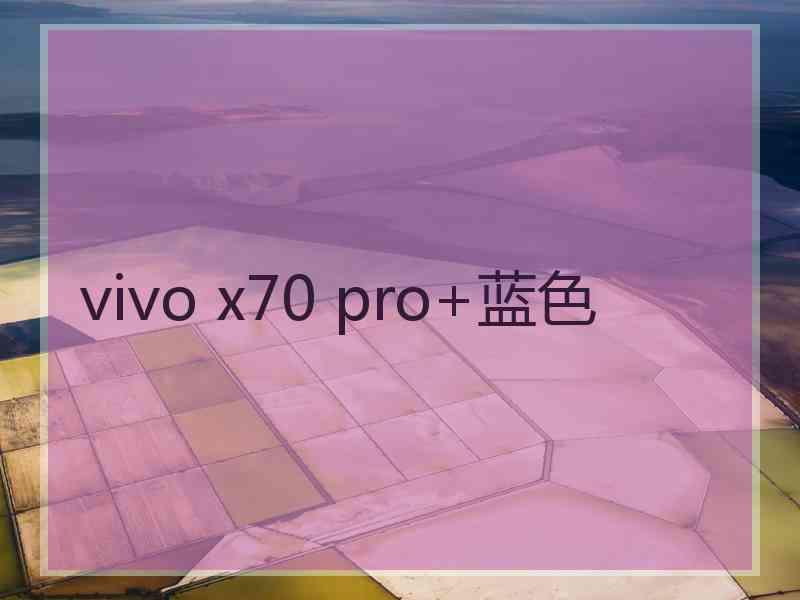 vivo x70 pro+蓝色