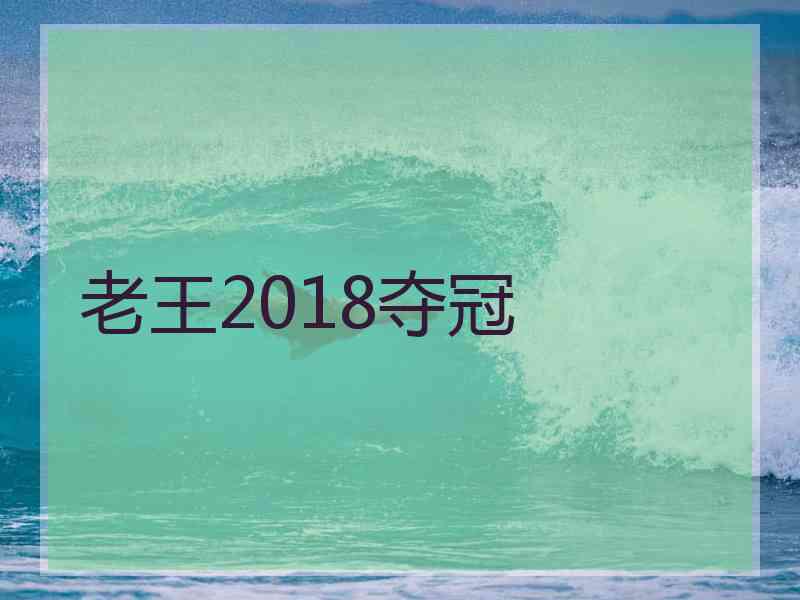 老王2018夺冠