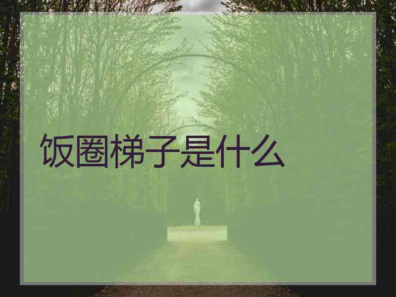 饭圈梯子是什么