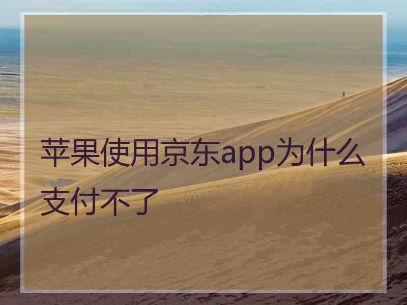 苹果使用京东app为什么支付不了