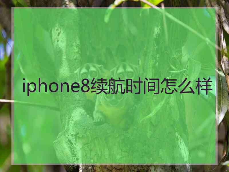 iphone8续航时间怎么样