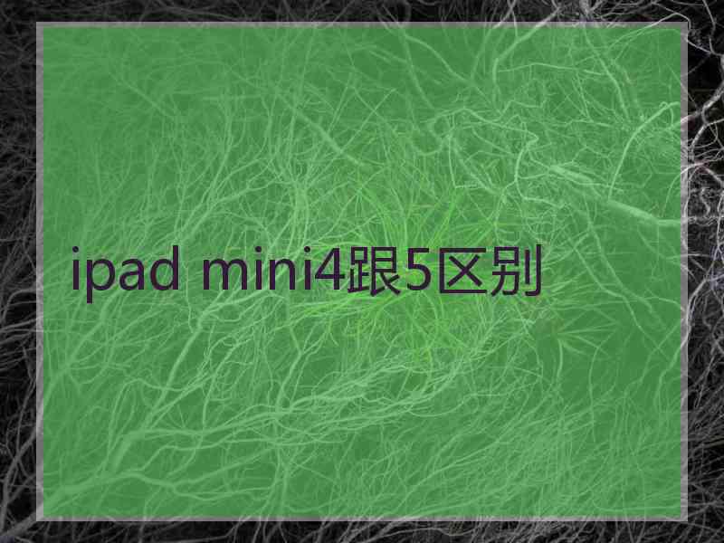 ipad mini4跟5区别