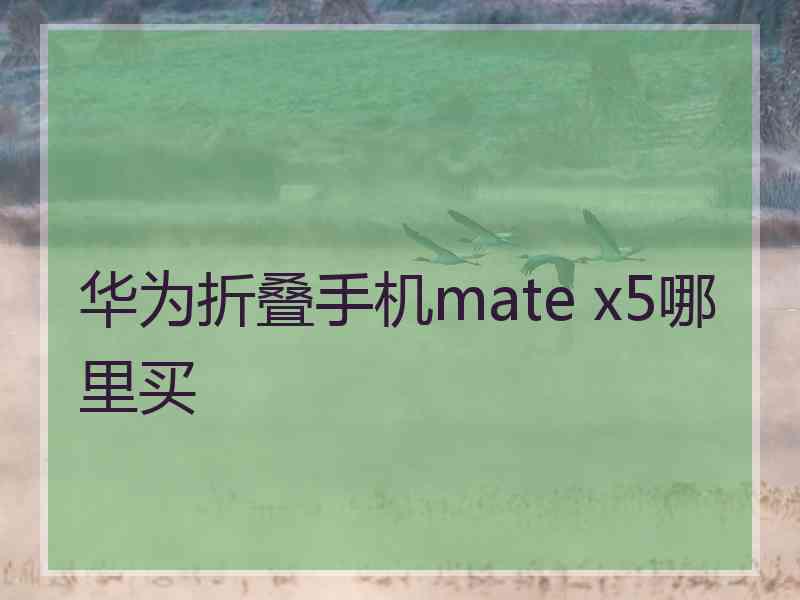 华为折叠手机mate x5哪里买