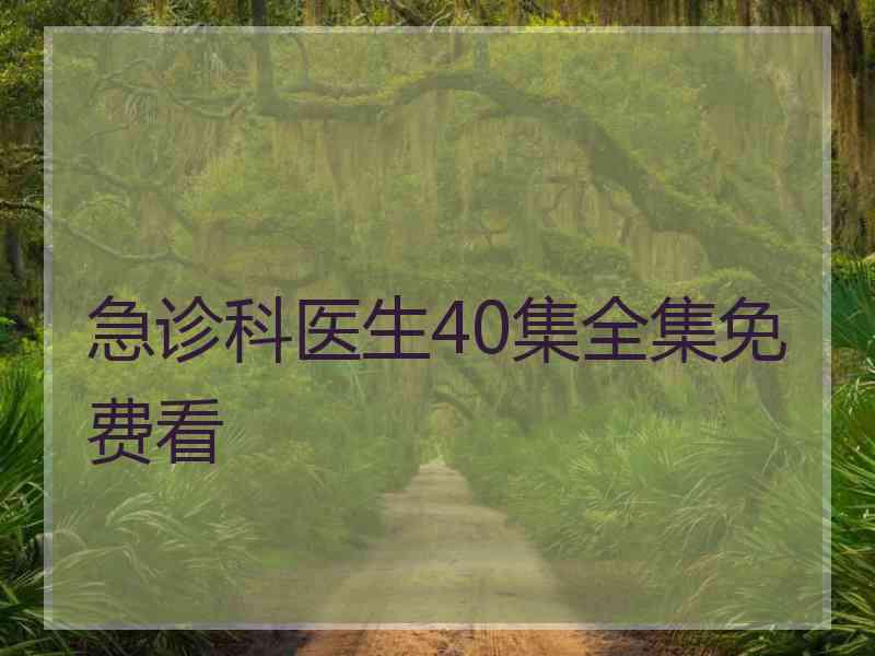 急诊科医生40集全集免费看