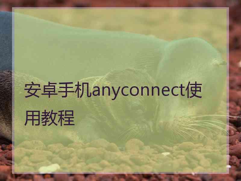 安卓手机anyconnect使用教程