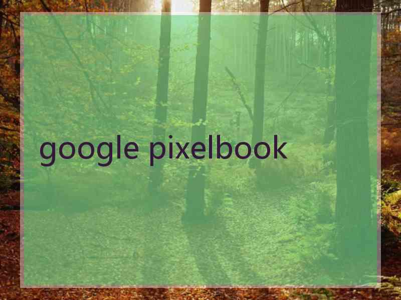 google pixelbook