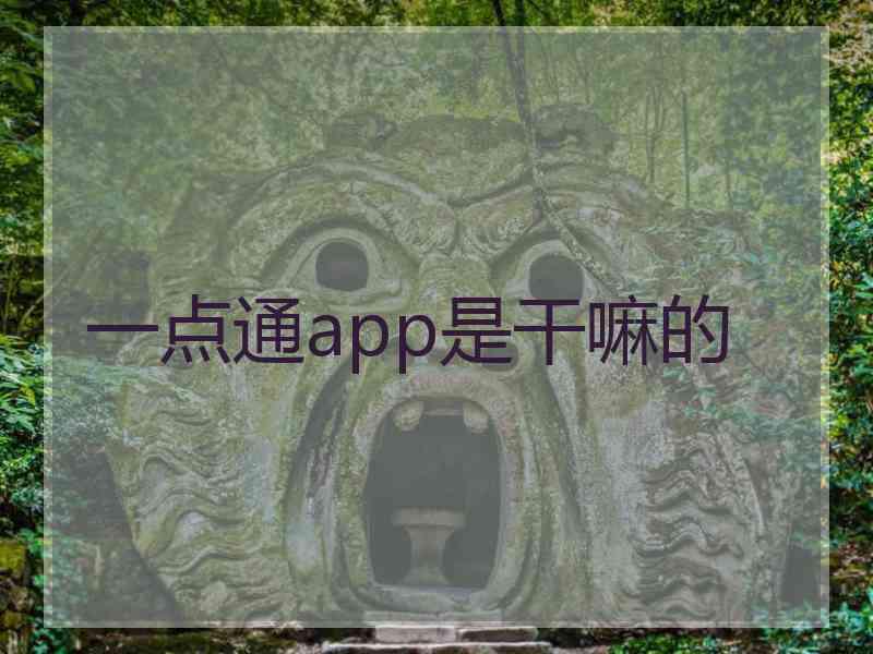 一点通app是干嘛的