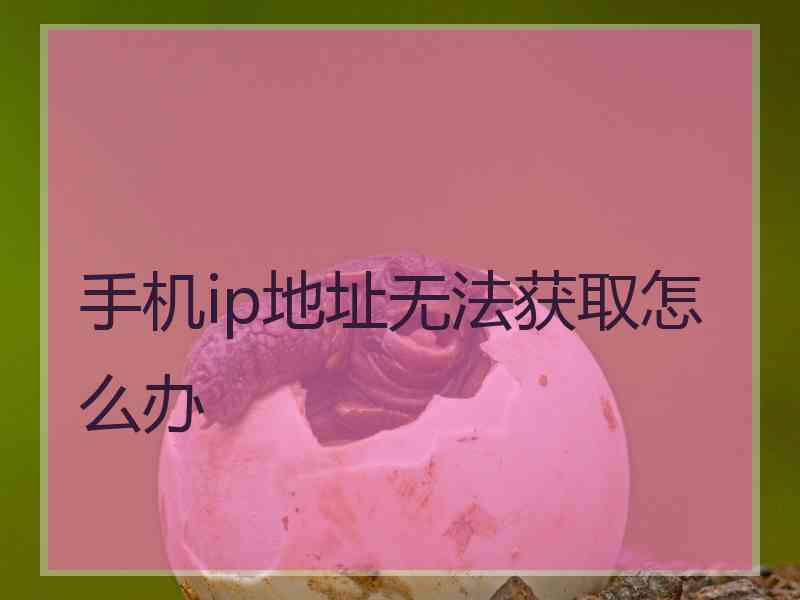 手机ip地址无法获取怎么办