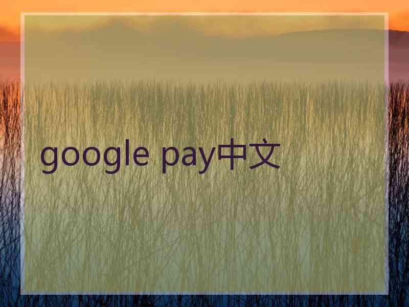 google pay中文