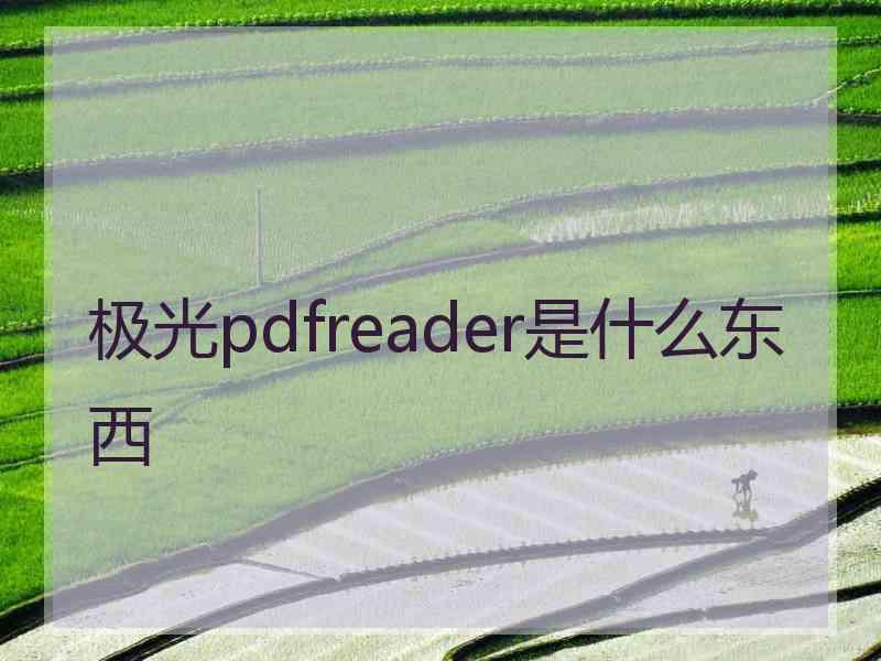 极光pdfreader是什么东西