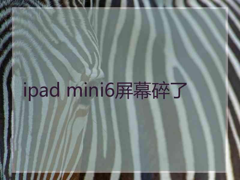 ipad mini6屏幕碎了