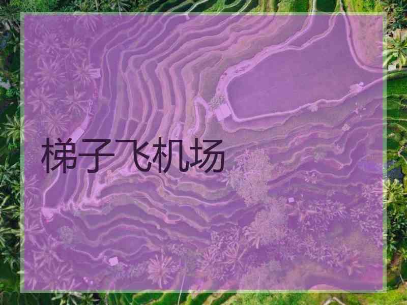 梯子飞机场