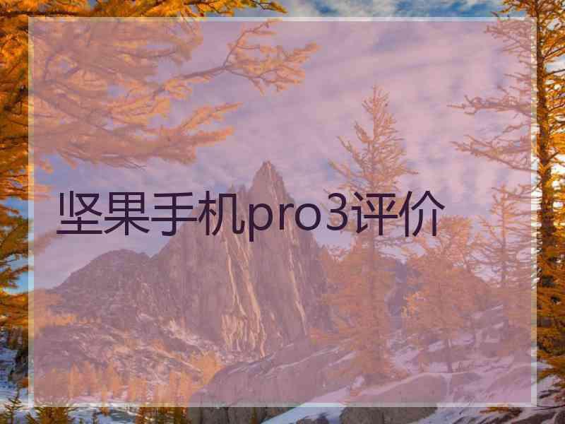 坚果手机pro3评价