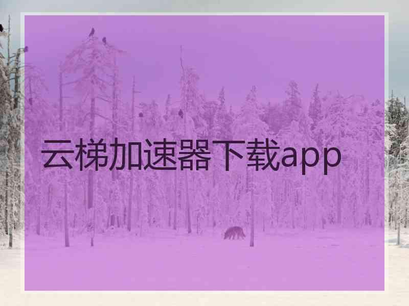 云梯加速器下载app