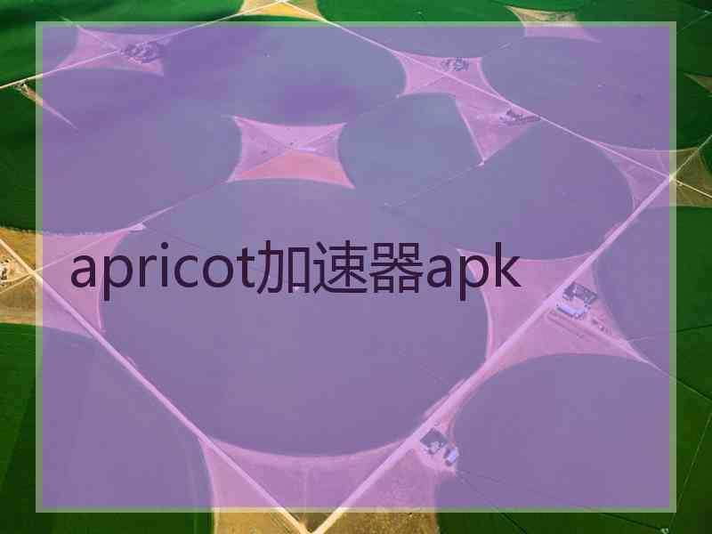 apricot加速器apk