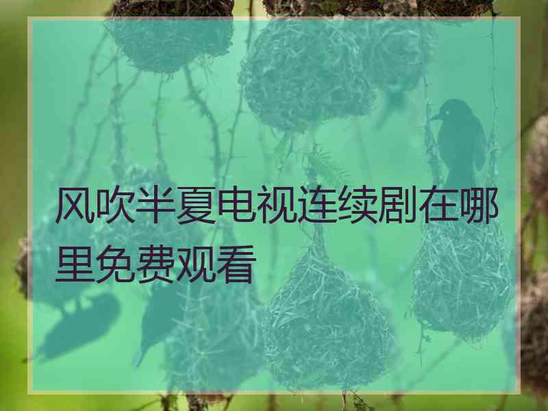 风吹半夏电视连续剧在哪里免费观看