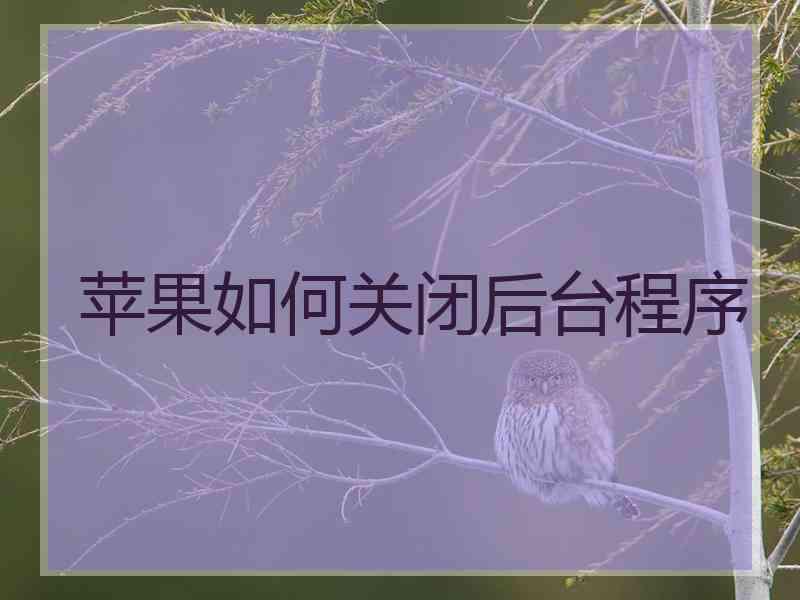 苹果如何关闭后台程序