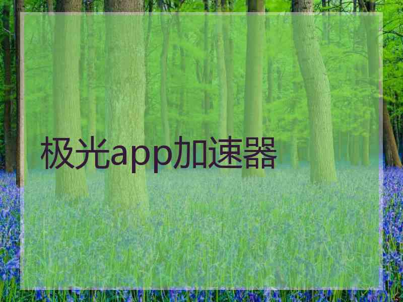 极光app加速器