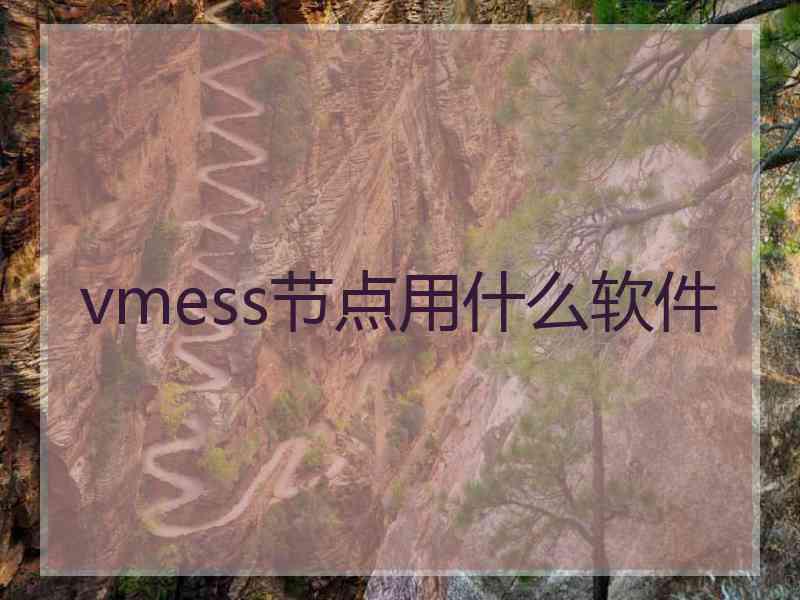 vmess节点用什么软件