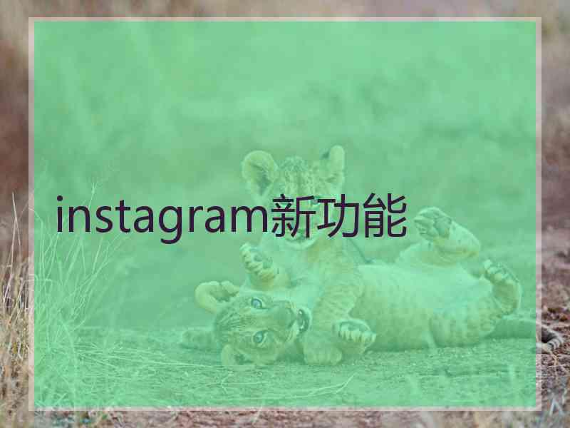 instagram新功能