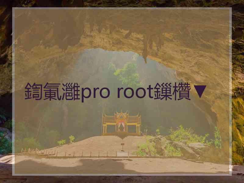 鍧氭灉pro root鏁欑▼