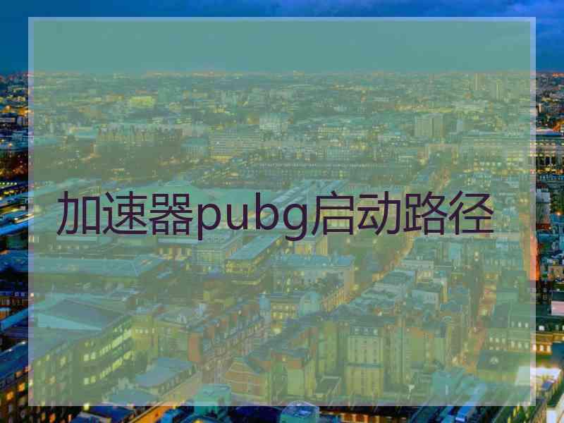 加速器pubg启动路径