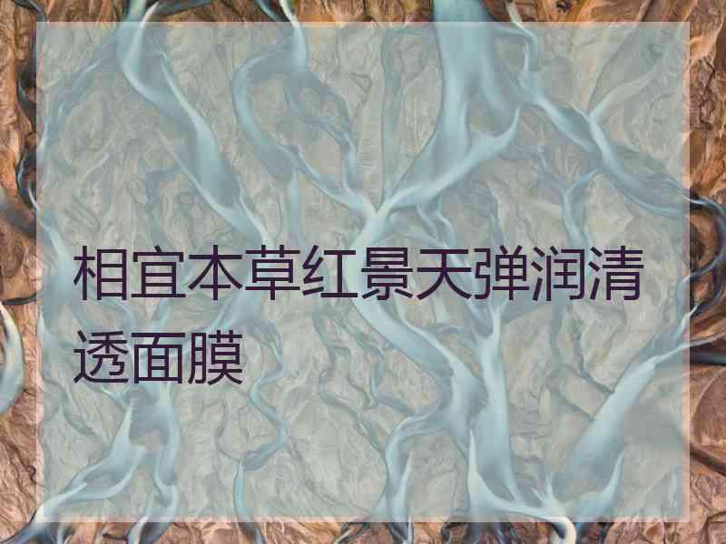 相宜本草红景天弹润清透面膜