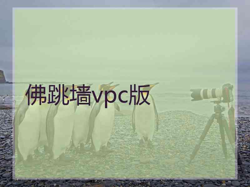 佛跳墙vpc版