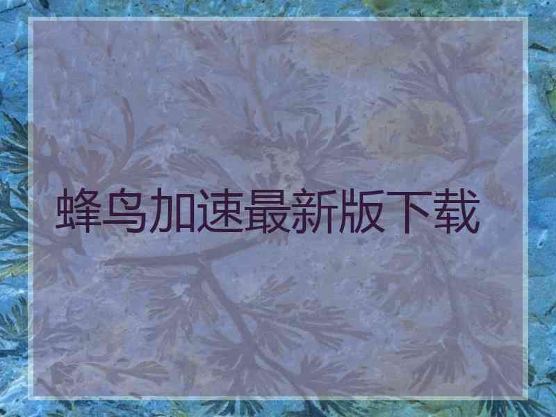 蜂鸟加速最新版下载