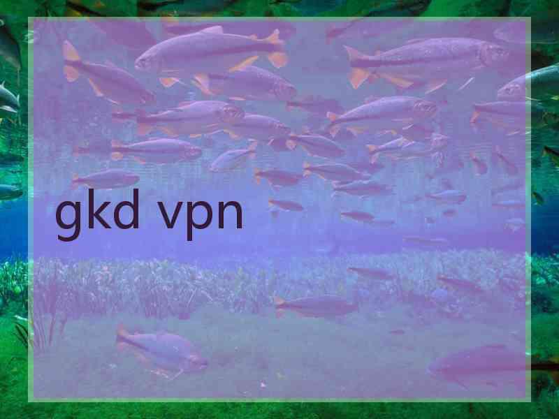 gkd vpn